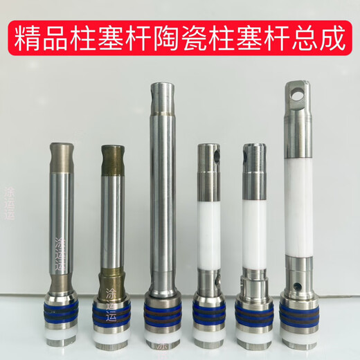 SMVP喷涂机通用柱塞杆陶瓷柱塞杆总成钢套杯体阀座螺丝进口国产 595/695不锈钢柱塞杆