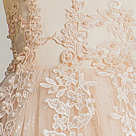 Carrot Beibei Children's Princess Dress Puffy Mesh Dress Skirt Girls Long Wedding Dress Piano Performance Costume Champagne 170
