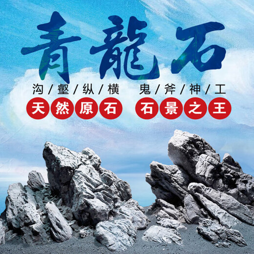 Fish tank natural small water and land tank bonsai raw stone landscaping stone pickled rockery stream stone ornamental stone raw stone small stone 1Jin Jin is equal to 0.5kg 2-5cm shape is optional