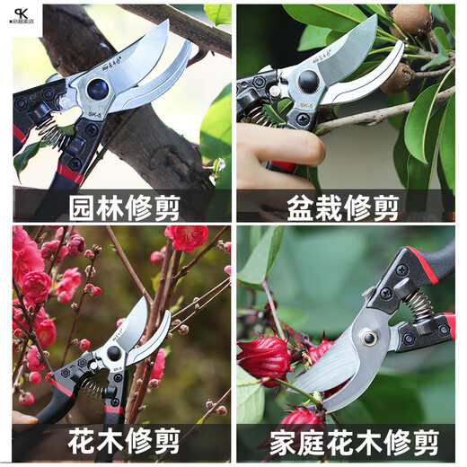 修剪树枝剪刀强力粗枝剪省力家用SK5钢园林园艺剪刀果树工具 14116不锈钢修枝剪+黑色超速锯