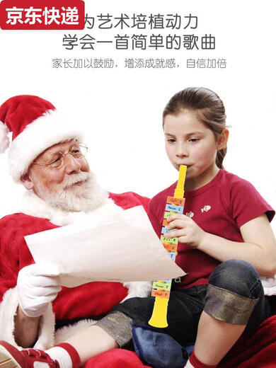 奇立彩口风琴儿童乐器口琴幼儿喇叭吹口哨竖笛宝宝小喇叭玩具早教 皮卡丘13音口风琴可吹更多歌曲