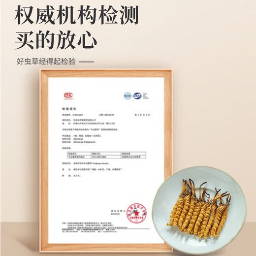 Cordyceps Dried Goods Authentic Cordyceps Gift Box Cordyceps Wangxiong Fengdao Nourishing and Healthy Cordyceps Three Roots One Gram 100 Roots Boxed
