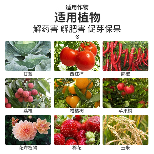 28 Epibrassinolide 0.01% fruit tree and vegetable field growth regulator that promotes growth, resists stress and eliminates pesticide damage 1000g