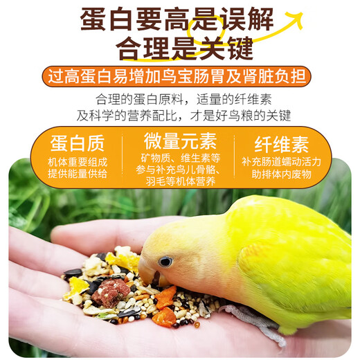 Kaiyuan full price parrot special food small sun bird food feed Xuanfeng monk food nut seeds peony bird food 650.2g small sun nutritional special food