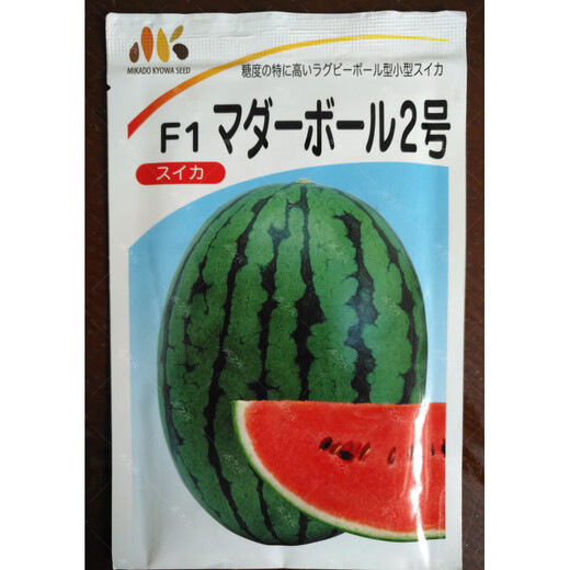 Early Spring Ruby Watermelon Seeds Japanese Fruit Seeds Four Seasons Sowing Super Sweet Small Watermelon Seeds Spring Japanese Imported Early Spring Ruby No. 2 200 Original