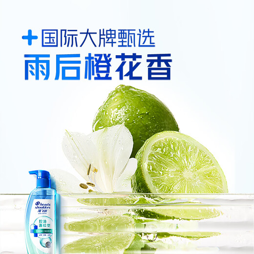 Haifeis Kopfhaut Muskelboden Ölkontrolle Flauschiger Shampoo 480g Anti-Dandruff-Männer und Frauen Salicylsäure Shampoo Shampoo Ölkontrolle Flasche