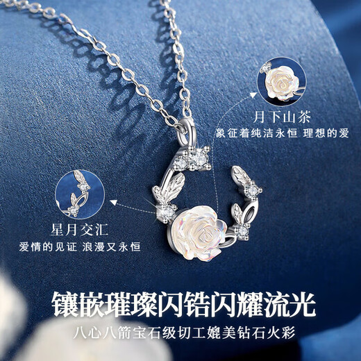 Central Chuang Fashion China Gold Authorized Silver Necklace Girls Birthday Gift for Women Light Luxury Niche Gift for Girlfriend and Best Friend S925