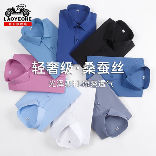Camiseta de manga corta de seda de seda de mulberry clásica 2025 Summer delgada Forma Forma Camisa informal de media manga Hombres 8806 Azul claro 11xl 3890-110Jin [Jin equivale a 0.5 kg]