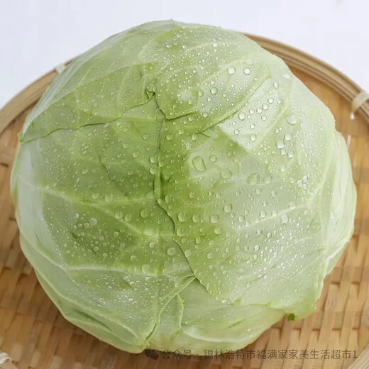Organic cabbage 500g