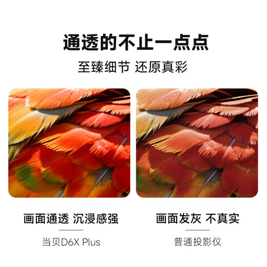 Dangbei D6XPlus laser projector for home use, thin and portable pan-tilt projector, high-definition home theater with 20% national subsidy (high brightness 1200CVIA first-level energy efficiency)