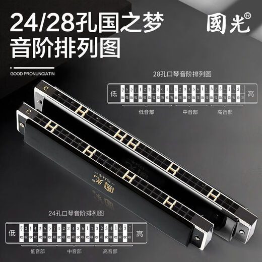 国光24孔28孔复音教学成人口琴C调音簧比赛初学口琴国之梦吹奏乐器 金色复音C调【纪念款】