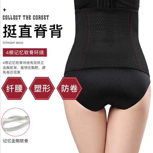 温影塑腰带女士美体镂空透气运动束腹减肚收腹带产后塑身腰封 米色 XL （140-155斤）