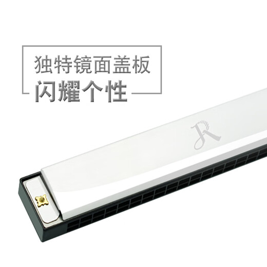 嘉德瑞复音口琴嘉德瑞24孔C调初学者自学可刻字演奏级乐器 马卡龙白【不留指纹+送自学礼包