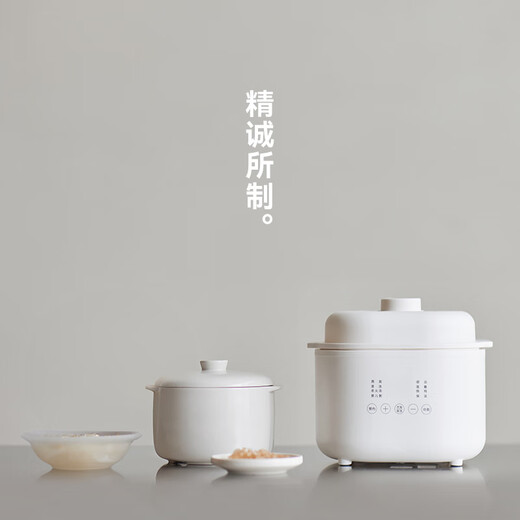 WCZ German electric stew pot bird's nest small stew pot water-proof stew household soup baby porridge pot baby food supplement pot capacity - with anti-scald handle 1L