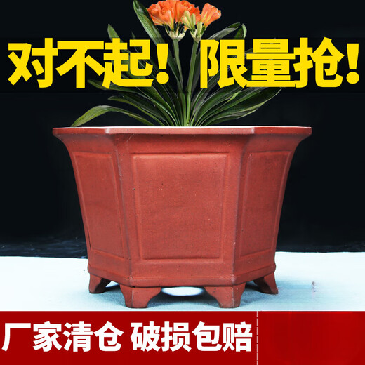 宜兴紫砂花盆六方兰花盆绿植花卉盆景盆栽高六角陶瓷花盆 桔红色 693小号