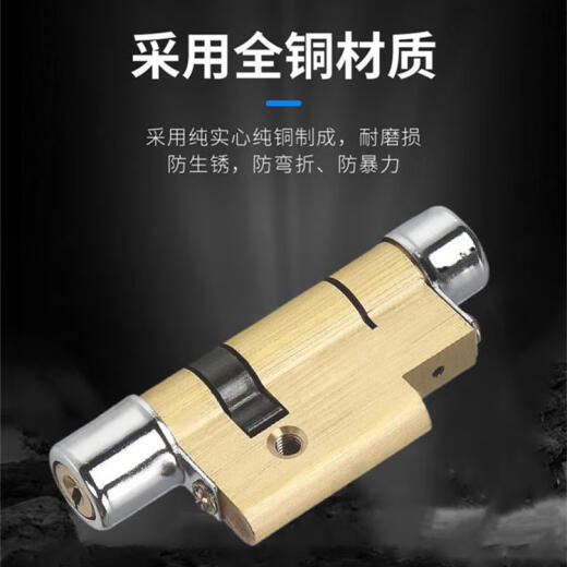 三栖虎替换锁芯超C级春天防盗门锁芯家用11型13型入户门 11型型号B1098=36+62