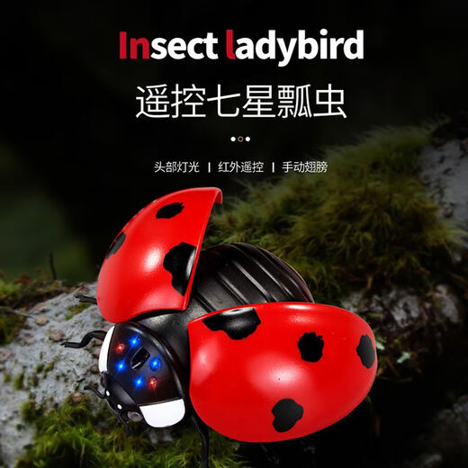 Elektrische Fernbedienungskontrolle Ladybug -Spielzeug Kinder -Internet -Promi Simulation Streicheinführung und Bewegung Insekten Reptilien Animal Boy und Girl Classic Version - Fernbedienung Fly Blue Blue 9921+ Schrauben Deluxe -Version mit weiteren 36 Elektronik