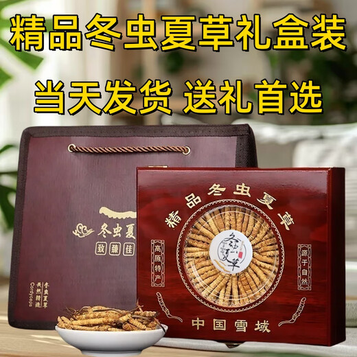Luzhangtang Cordyceps gift box is packed with authentic Tibetan snow mountain Cordyceps gifts quality guaranteed to ship on the same day. Tibet Naqu fine cordyceps 2 pieces 1 gram 20 pieces