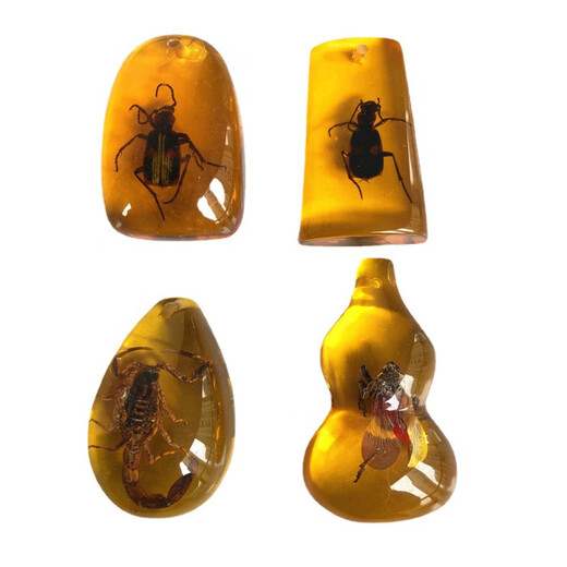 Fat Donglai's same amber insect specimen carefully selected scorpion blind box children's gift textbook luminous scorpion 50mm 20~
