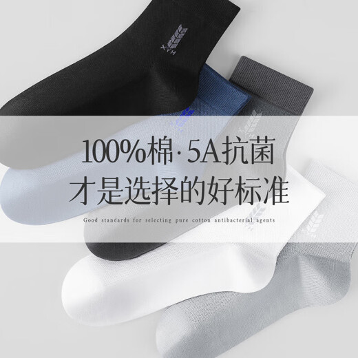 恒源祥袜子男100纯棉夏季薄款透气网眼中筒防臭吸汗全棉男袜 6172 防臭混色6双 均码