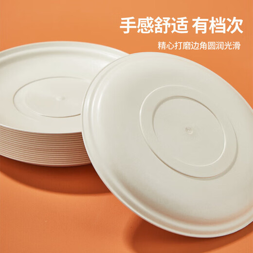 Mengting disposable plates, picnic plates, no-wash disposable tableware plates, 20 pieces