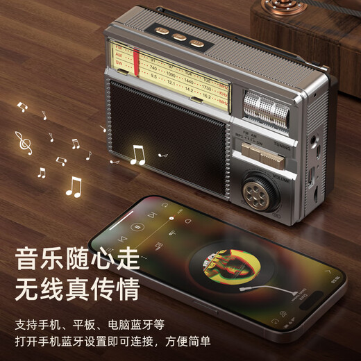 Dili Radio for the Elderly Rechargeable Solar Plug-in Card Bluetooth Mini Speaker for the Elderly 2025 New Portable Full-band FM Parents Birthday Gift Silver Gray Solar/Plug-in Card/U Disk/Bluetooth