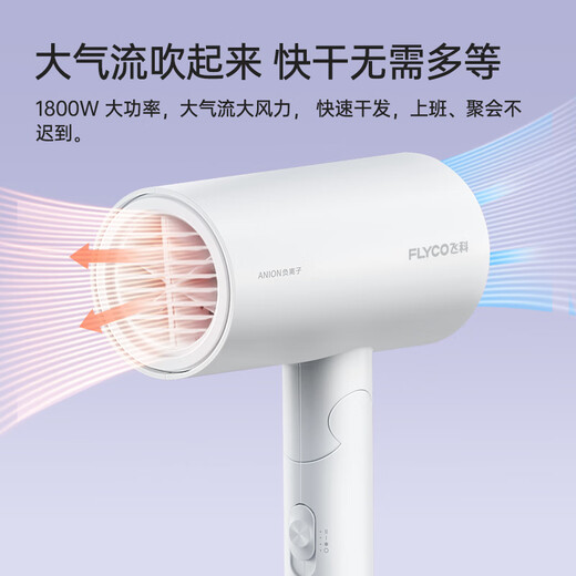 FLYCO 飞科电吹风机家用速干便携学生宿舍低噪音冷热风大功率吹风筒负离子护发吹风机1628/6296/6290 旗舰款银河星环高速吹风机FH6371-钻石粉