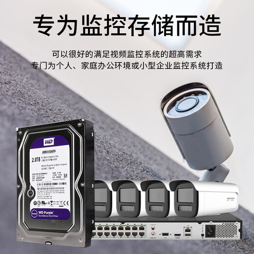 海康威视WD西数监控硬盘12346TB监控硬盘监控配件硬盘录像机 4TB【西数/希捷随机发货】