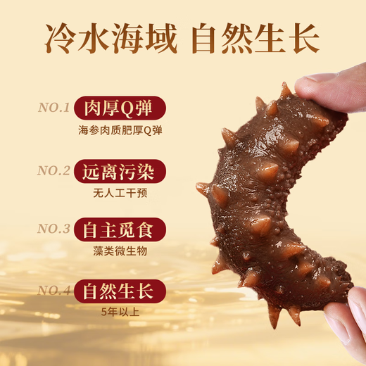 Kangyuetang Dalian ready-to-eat sea cucumbers, fresh sea cucumbers, bottom-sown wild authentic sea cucumbers, individually packaged frozen sea cucumbers, large king cucumbers, ready-to-eat sea cucumbers 1Jin Jin equals 0.5kg, 5-7 heads