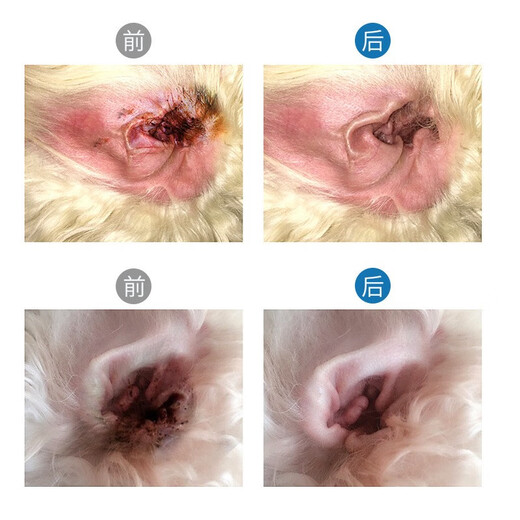 Daoliqi Pet Ear Drops 60ml Cat Ear Drops Oil Pet Cleansing Ear Mites and Ear Odor Ear Cleansing Liquid Dog Eye Drops Ear Drops 60ml (Ear Special) 60ml (1 stick)