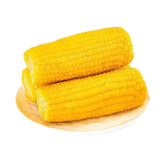 New arrivals of the season: Northeast yellow sweet glutinous corn on the cob vacuum-packed low-fat yellow waxy big stick sweet Northeast sticky corn yellow waxy corn 120-160g 3 sticks