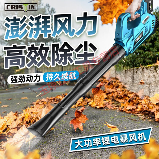 Pupan Hair Dryer High Power Industrial Lithium Blower Rechargeable Powerful Blowing Snow Blowing Leaves Blowing Falling Leaves Blowing Dust 2CRT [Storm-Blue] Charging Storm Gun 3888T