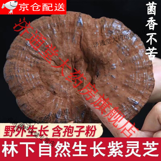 Beijing Tongrentang Deep Mountain Ganoderma lucidum purple Ganoderma lucidum wild not bitter pruning with spore powder natural semi-wild Ganoderma lucidum slices dry goods 510g + 2g (whole Ganoderma lucidum) [4-8 medium and large flowers]