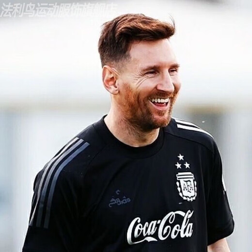 法利鸟2022世界杯3星阿根廷球衣国家队梅西比赛热身训练服定制 三星背心训练服 S 均码