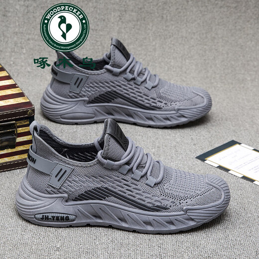 Woodpecker grande taille Chaussures pour hommes Spring Nouveau Mesh Sneakers respirants à la mode et polyvalente Sofle Fashion Fashion Casual Running Shoes 9225 Beige 43