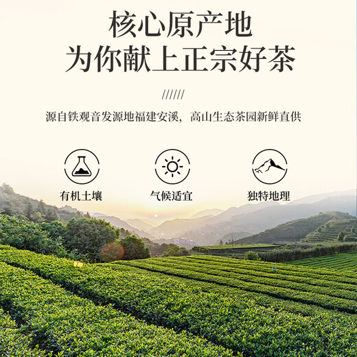 一杯香茶叶兰花香安溪乌龙茶铁观音礼盒装250g自己喝送礼品袋
