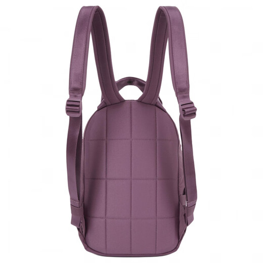 The North Face Neverstop lässig vielseitiger vielseitiger Reißverschluss Nylon Rucksack Mini -Frauentrauben lila Traube lila Mini