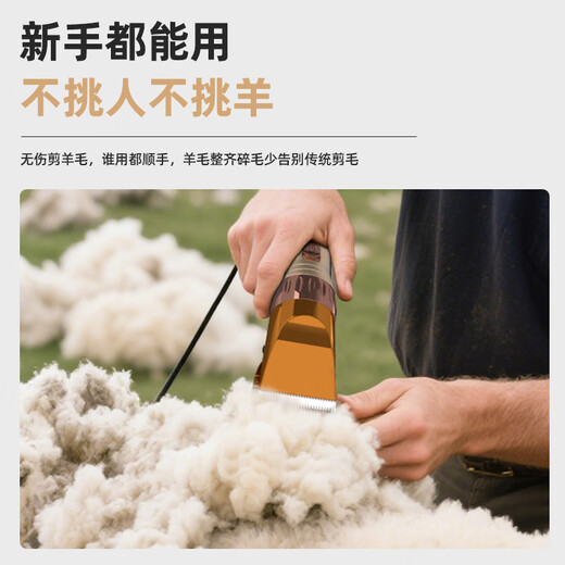 DINGNAI high-power wired dog wool shear electric clipper high-power shaver pet hair pusher wool electric clipper wool shear gold + 1 head 48V plug-in