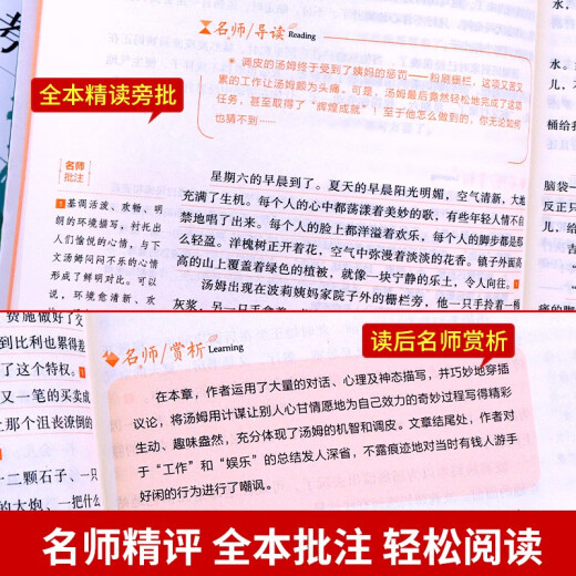 汤姆索亚历险记 原著正版六年级完整版小学版必读课外书人民6年级青少年初中生课外阅读书籍文学开明出版社 829页红楼梦送考点手册