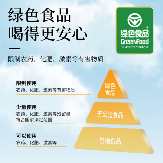 Shennong Jinkang Qingqian Willow Tea [grünes Essen] Jinqian Willow Tender Blätter junge Blätter junger Blätter alter Bäume in Deep Mountain Health Tea