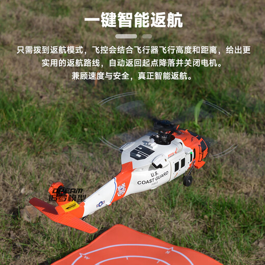 帝蓝尼（DILANNI）帝蓝尼直升飞机模型黑鹰羽翔F09-S遥控机仿真武装航模GPS定位像真 FPV套机(全套带摄像头+58G显示屏 飞机
