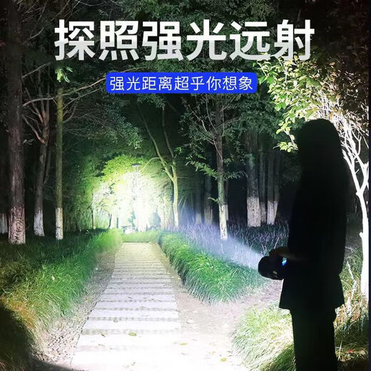 应急灯家用超长续航充电停电太阳能户外备用照明手提马灯露营挂灯 太阳能【金色】插线两用充电 标配款：高亮688+送USB线