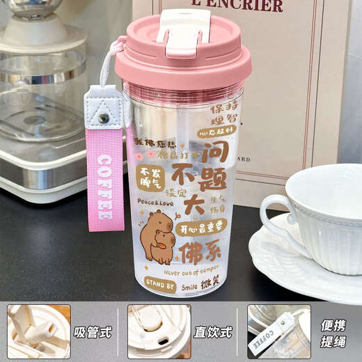 承琉卡通卡皮巴拉水杯夏季便携手拎新款水壶男女吸管大容量杯子高颜值 透绿-铃兰PC水杯-HST3894水豚+配 PC
