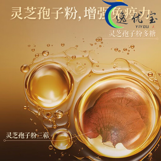同仁堂破壁灵芝孢子粉胶囊中老年人增强抵抗力破壁易吸收官方 官方旗舰 60粒/1瓶北京同仁堂破壁灵芝孢子