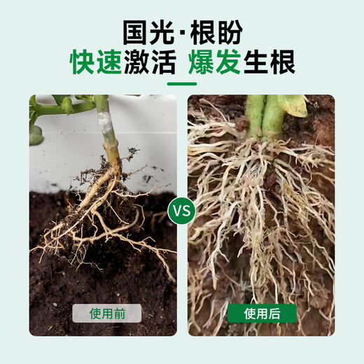 Guoguang Root Promoting Rapid Rooting Liquid Powder Seedlings Flower Cuttings Transplanting Indotenyl Acetic Acid Guoguang Genpan 200ml*20 Bottles