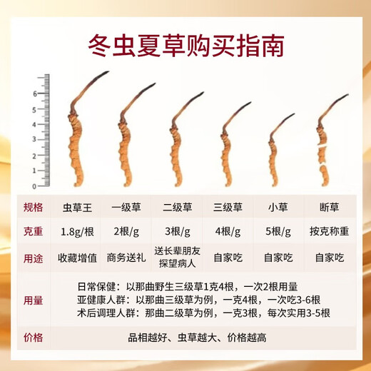 观采归【西藏那曲】野生冬虫夏草补品送长辈老年人营养礼盒虫草礼品实用 一级草[约2根/克] 30克60根商务装