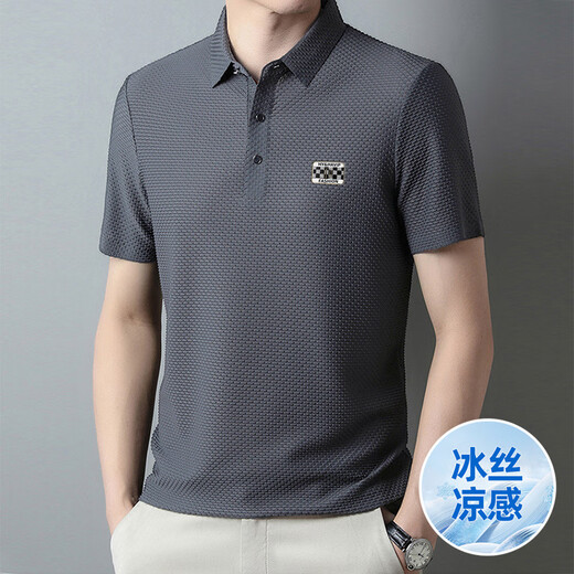 Jingpufei Sommer High-End Ice Silk Herren Kurzärärmelte T-Shirt Markless Revers Atmungsaktiv 6176: Baolan 3xl