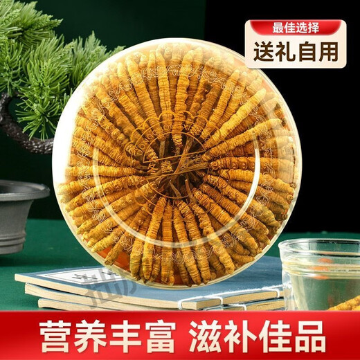 Beijing Tongrentang Quality Tibet Direct Faquenna Cordyceps High-altitude Cordyceps Warm Dry Goods 100g Gift Box 5g Canned