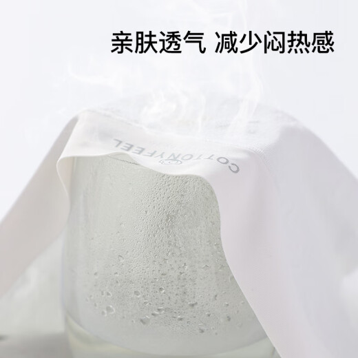 安之伴全包臀无痕隐形7A抑菌裆内裤女夏季超薄棉质透气中腰三角裤3条装
