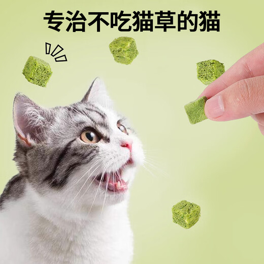 HELLOJOY cat grass freeze-dried tablets cat snacks hair ball tablets cat grass sticks to grind teeth and clean teeth for kittens to gain weight and hair cheek hair ball nemesis